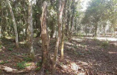 Terreno à venda na endereço não informado, sambaqui, morretes, 23505 m2 por r$ 289.000