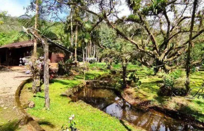 Chácara / sítio com 3 quartos à venda na endereço não informado, são joão da graciosa, morretes, 12000 m2 por r$ 1.300.000