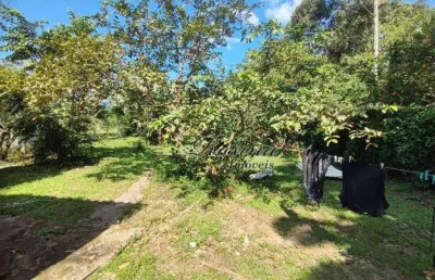 Chácara / sítio com 2 quartos à venda na endereço não informado, marumbi, morretes, 1504 m2 por r$ 250.000