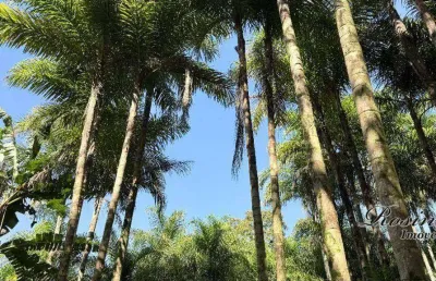 Terreno à venda na endereço não informado, sambaqui, morretes, 1300 m2 por r$ 75.000