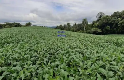 Chácara 20 mil m², escriturada e registrada * fica a um km da rodovia do xisto, na divisa de mariental com contenda