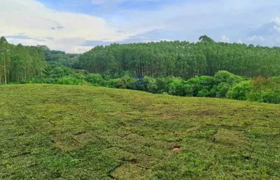 * ótima chácara urbana sta felicidade 2 km do colégio internacional de curitiba. com 5.800 m² só projetar e construir sua casa a 20 minuto do centro