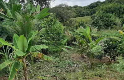 Chácara / sítio com 1 quarto à venda na Diogo, Diogo, Mata de São João