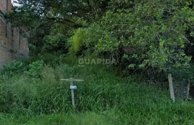 Terreno comercial para alugar na Estrada João Passuelo, Vila Nova, Porto Alegre