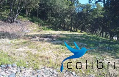Terreno urbano barato pronto para construir até 03 casas em agudos do sul