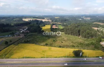 Terreno à venda no campo largo da roseira, são josé dos pinhais  por r$ 17.500.000