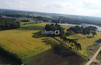 Terreno à venda no campo largo da roseira, são josé dos pinhais  por r$ 11.000.000