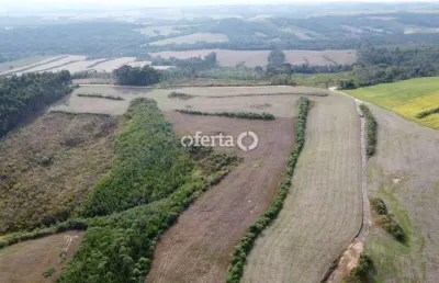 Fazenda à venda no faxinal dos castilhos, lapa  por r$ 2.350.000