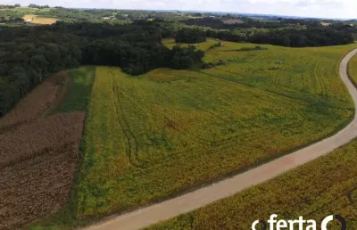 Chácara / sítio à venda no lagoa suja, araucária , 24200 m2 por r$ 650.000