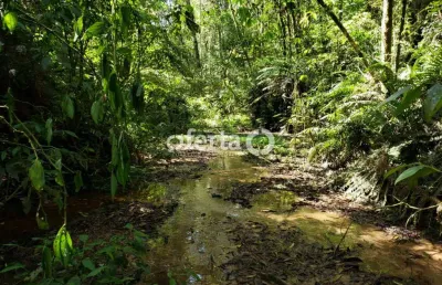 Chácara / sítio à venda no lagoa suja, araucária  por r$ 650.000