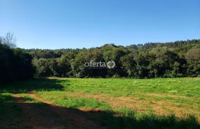 Chácara / sítio à venda no rio verde de cima, araucária  por r$ 550.000