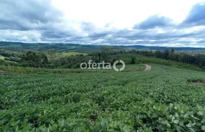 Terreno à venda no mato preto, lapa  por r$ 335.000