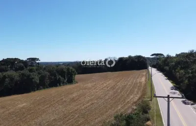 Terreno à venda no centro, araucária  por r$ 1.850.000