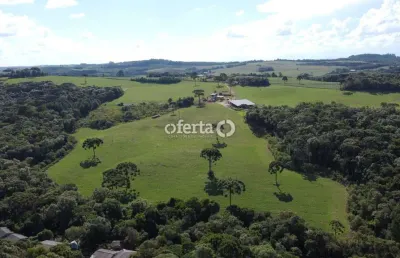 Fazenda à venda no faxinal dos castilhos, lapa , 250 m2 por r$ 4.500.000