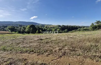 Chácara / sítio à venda no bugre, balsa nova  por r$ 165.000