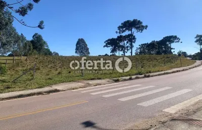 Terreno comercial à venda no costeira, araucária  por r$ 12.000.000