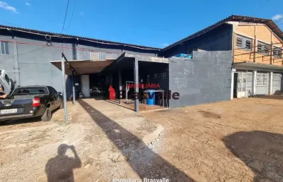 Barracão para alugar  no br 277 saida para curitiba