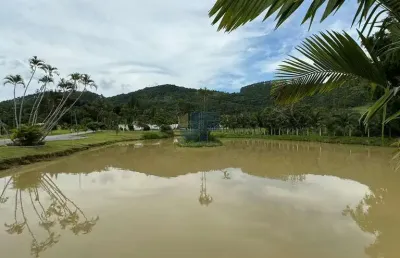 Excelente oportunidade de investimento! sítio/chácara à venda em camboriu.