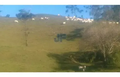 Excelente área com 71 hectares, bairro caetés cidade de camboriú.