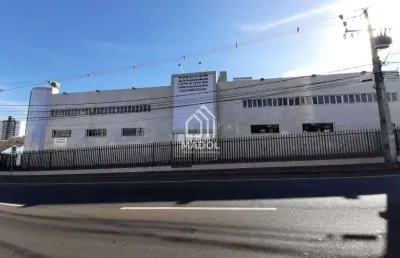Barracão para alugar, 250 m² por r$ 8.500,00/mês - centro - ponta grossa/pr