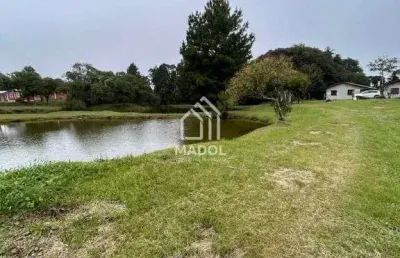 Chácara à venda em são luiz do purunã, balsa nova - pr