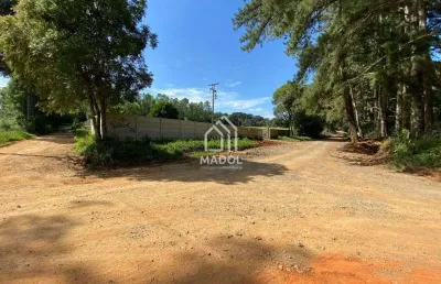 Chácara à venda em colônia dona luiza, ponta grossa - pr