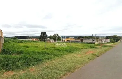 Terreno à venda, 1800 m² por r$ 890.000,00 - cará-cará - ponta grossa/pr