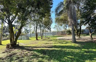 Terreno à venda em colônia dona luiza, ponta grossa - pr