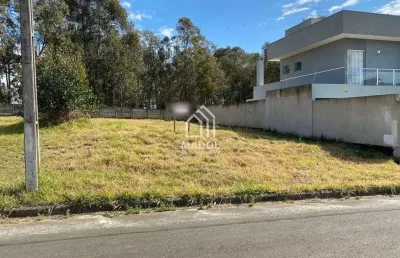 Terreno à venda, 320 m² por r$ 340.000,00 - jardim carvalho - ponta grossa/pr
