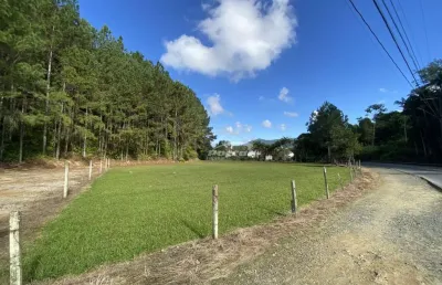 Terreno com 2500m² para locação e built to suit no bairro itoupava central. excelente localização em rua asfaltada, em uma transversal da rua gustavo zimmermann