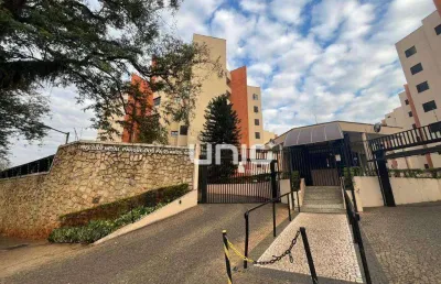 Apartamento para alugar no edificio residencial parque dos pássaros