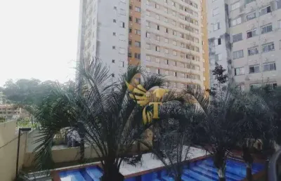 Apartamento com 2 dormitórios à venda, 44 m² por r$ 249.000,00 - vila carmosina - são paulo/sp