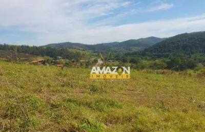 Terreno à venda, 21000 m² por r$ 220.000,00 - chácara são félix - taubaté/sp