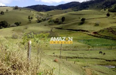 Área à venda, 350 m² por r$ 1.450.000,00 - zona rural - são bento do sapucaí/sp