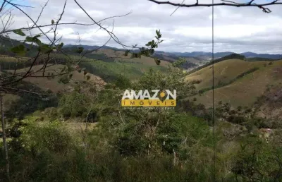 Sítio com 1 dormitório à venda, 100000 m² por r$ 440.000,00 - zona rural - natividade da serra/sp