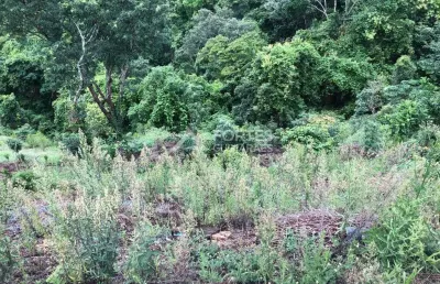 Terreno em condomínio fechado à venda em escarpas do lago, capitólio  por r$ 1.100.000