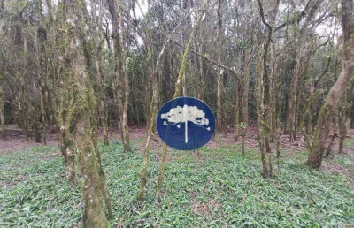 Chácara excelente para criação de abelhas - com 7,57 alqueires no tiete
