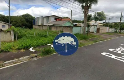 Terreno à venda, 360 m² por r$ 290.000,00 - passauna - araucária/pr