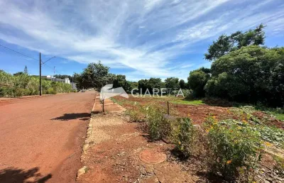 Terreno com excelente custo à venda, centro, toledo - pr