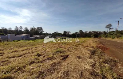 Terreno à venda no flora galante 2, jardim coopagro, toledo - pr