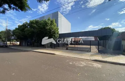 Apartamento amplo á venda no jardim coopagro, toledo - pr