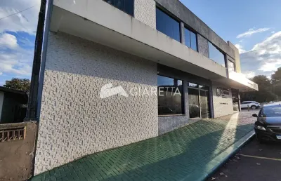 Sala comercial ampla para locação em ótima localização, centro, toledo - pr