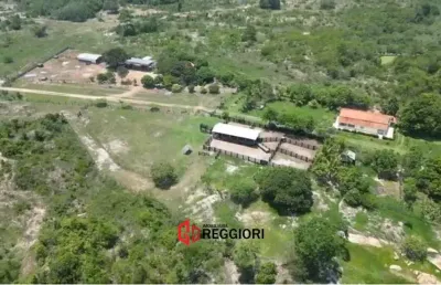Fazenda à venda na Área Rural de Xinguara, Xinguara 
