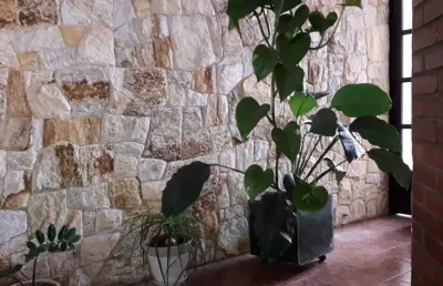 Casa à venda, 3 quartos, 3 suítes, 5 vagas, vila euclides - são bernardo do campo/sp