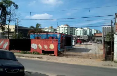 Excelente terreno  guaianases com 4.877 m2  ! estuda propostas  ou 60 % à vista e restante 40% em permutas. ref 1310 -