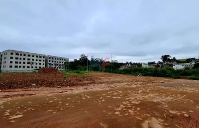 Excelente terreno em guaianases, com 5.643 m² de área, nas proximidades da estrada do iguatemi . muito bem localizado. (ref 19.123)
