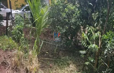 Excelente terreno  bairro água branca, em ilhabela/sp, com 612 m² a.t., plano, nas proximidades da praia do perequê (ref 20.574)