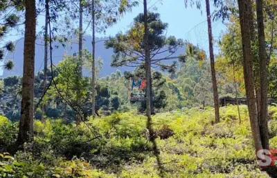 Excelente terreno na região da pedra do baú, em campos do jordão/sp, com 23 hectares (230.000 m²) (ref 20.849)