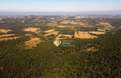Fazenda espetacular disponível para venda no pinheirinho em itu/sp