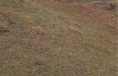 Terreno à venda - condomínio bosque do horto - jundiaí/sp